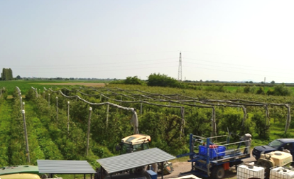 immagine annuncio 8 di 10