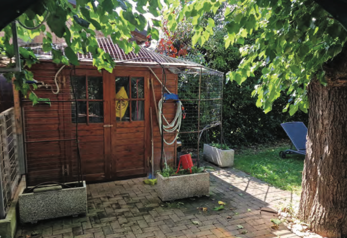 immagine annuncio 2 di 10