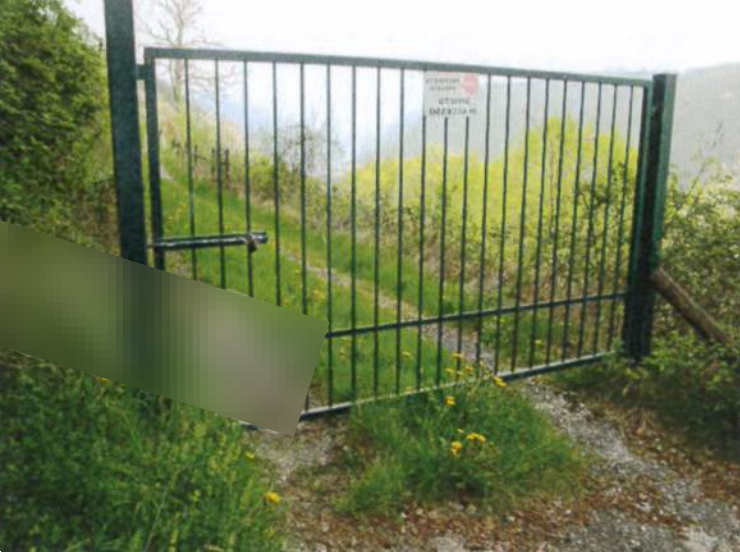 immagine annuncio 4 di 10