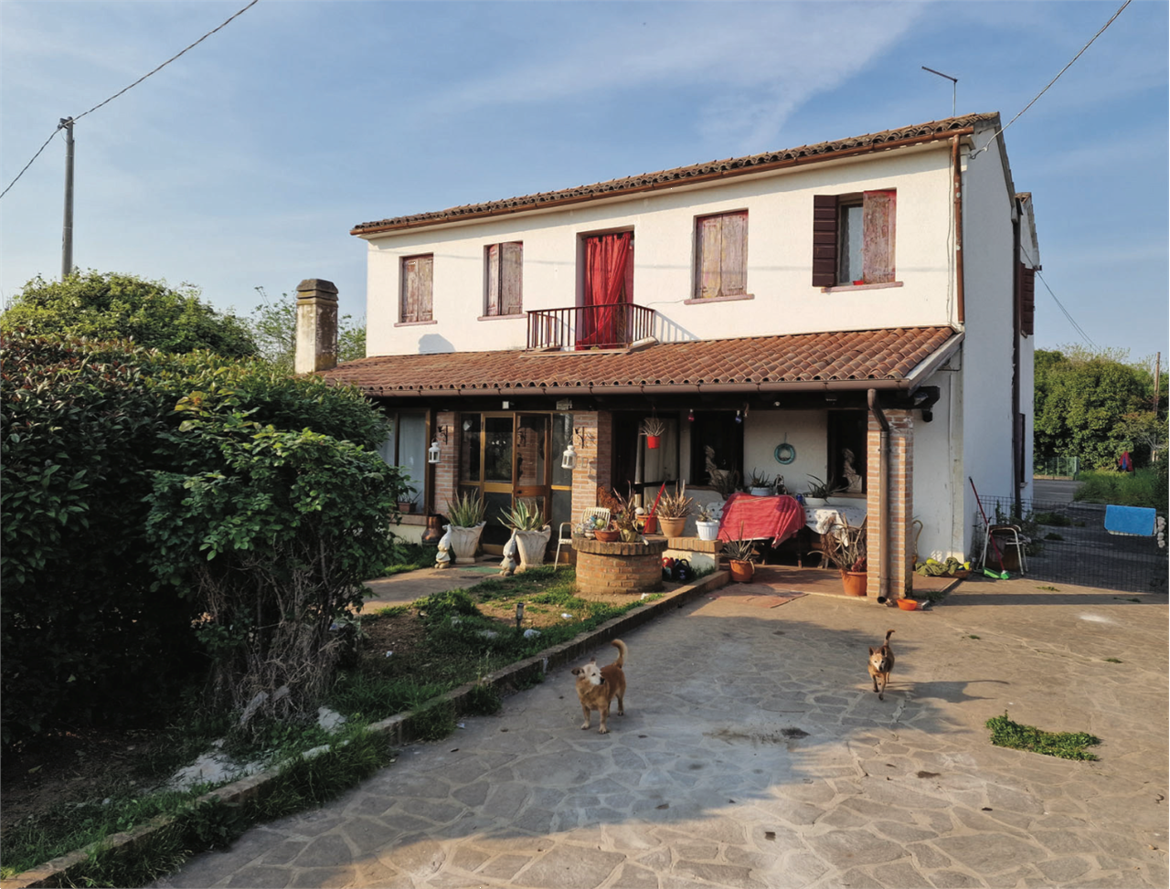 immagine annuncio 2 di 10