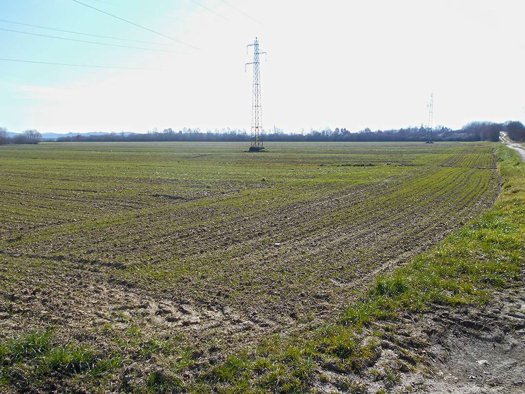 immagine annuncio 3 di 9