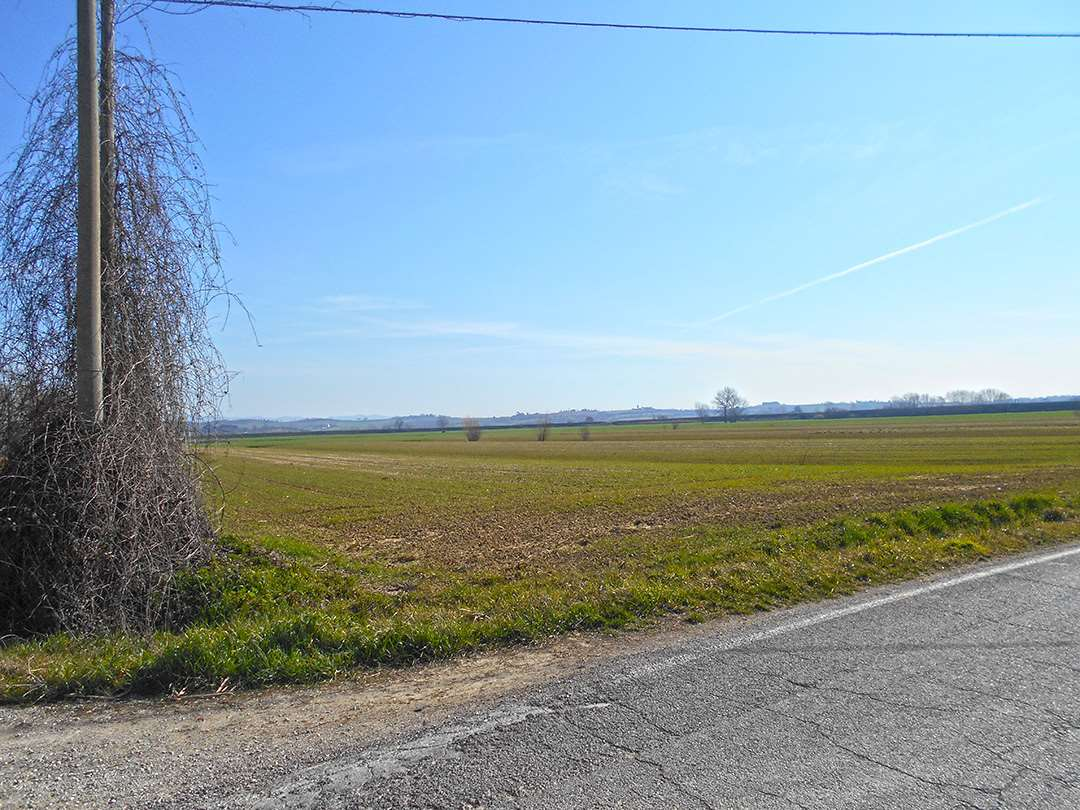 immagine annuncio 5 di 9