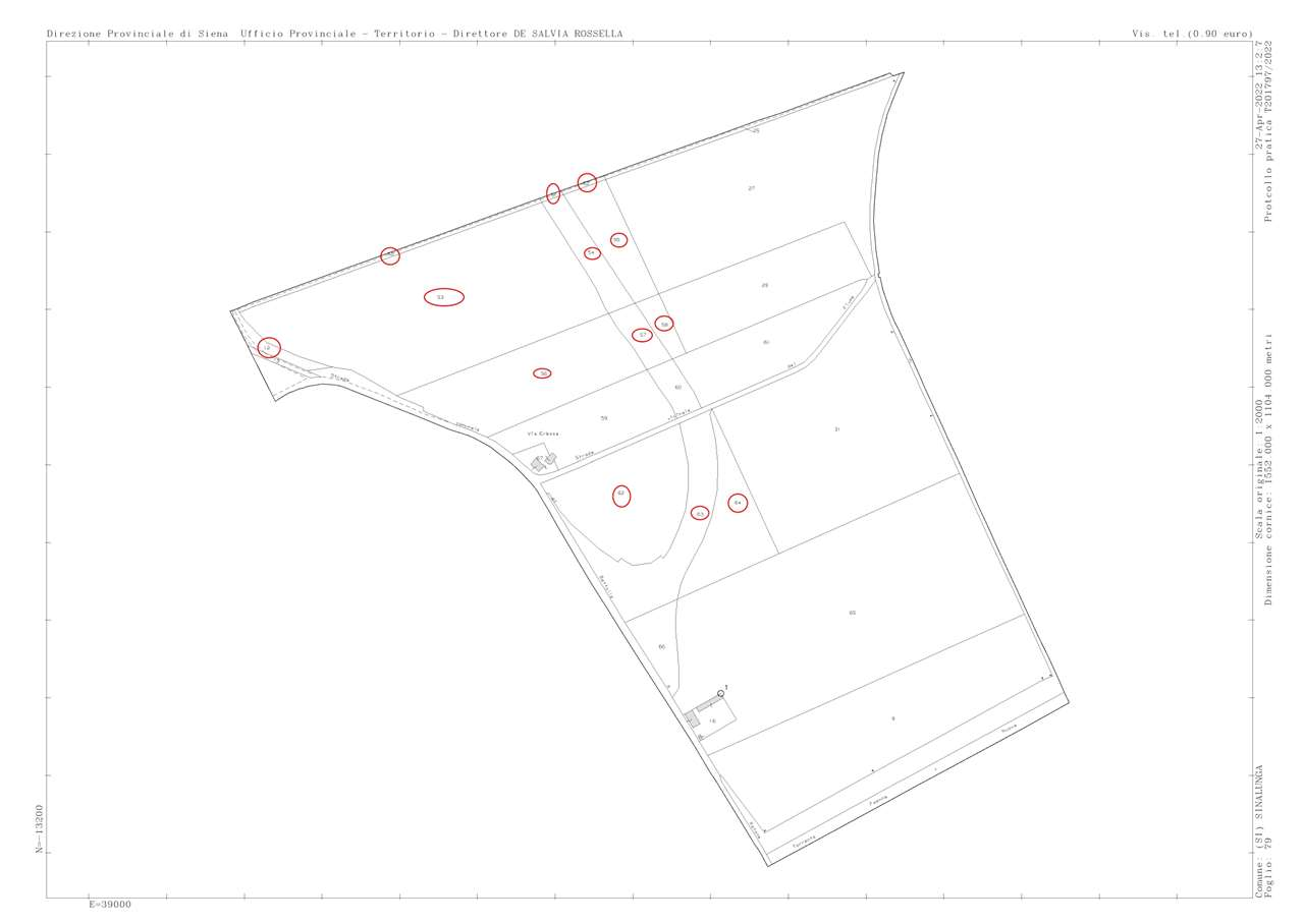 immagine annuncio 4 di 9