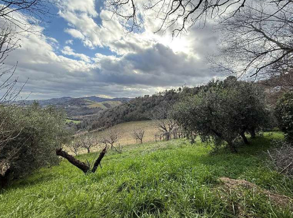 immagine annuncio 7 di 10