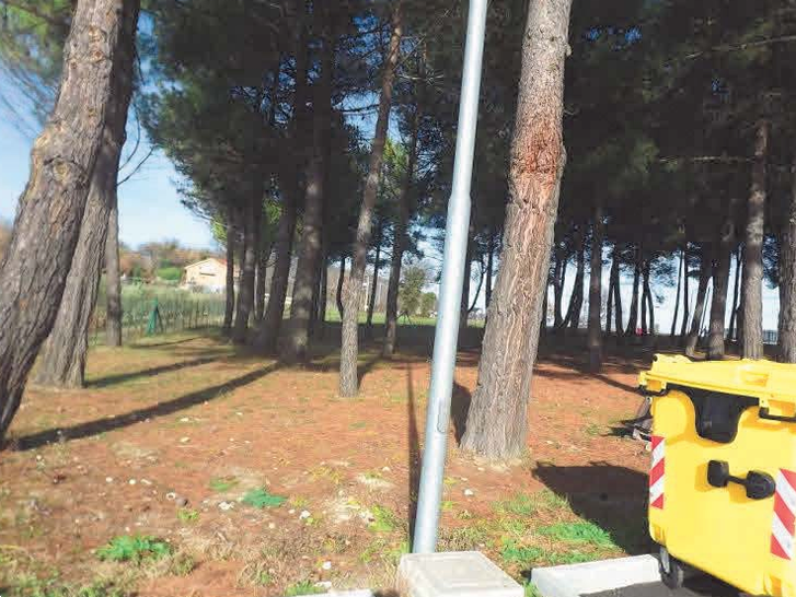 immagine annuncio 4 di 10