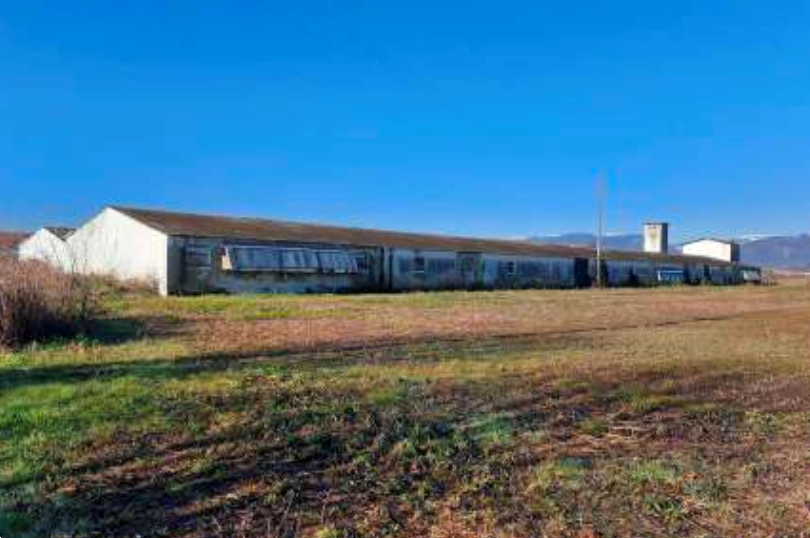 immagine annuncio 3 di 10