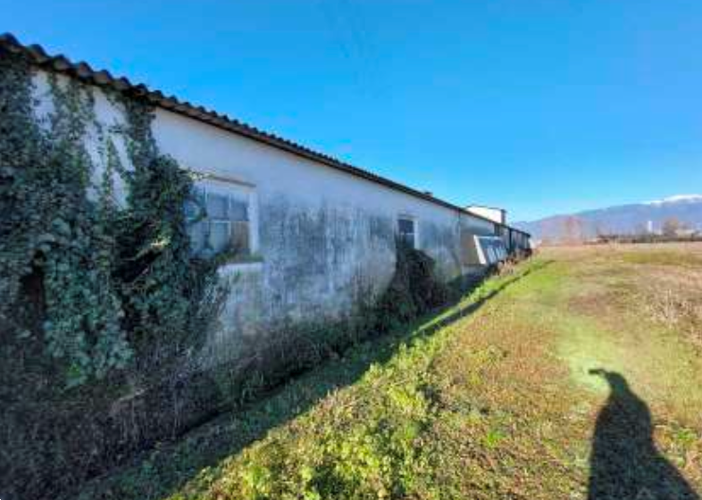 immagine annuncio 4 di 10