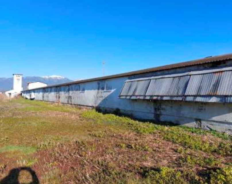 immagine annuncio 7 di 10