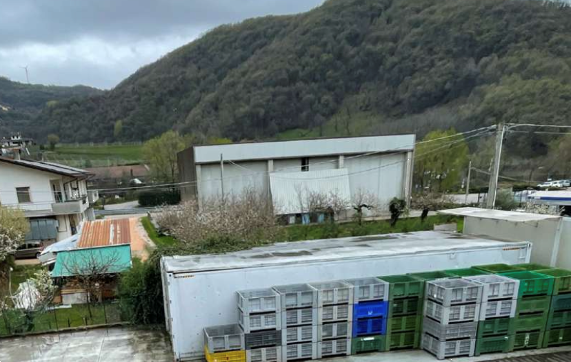 immagine annuncio 5 di 10