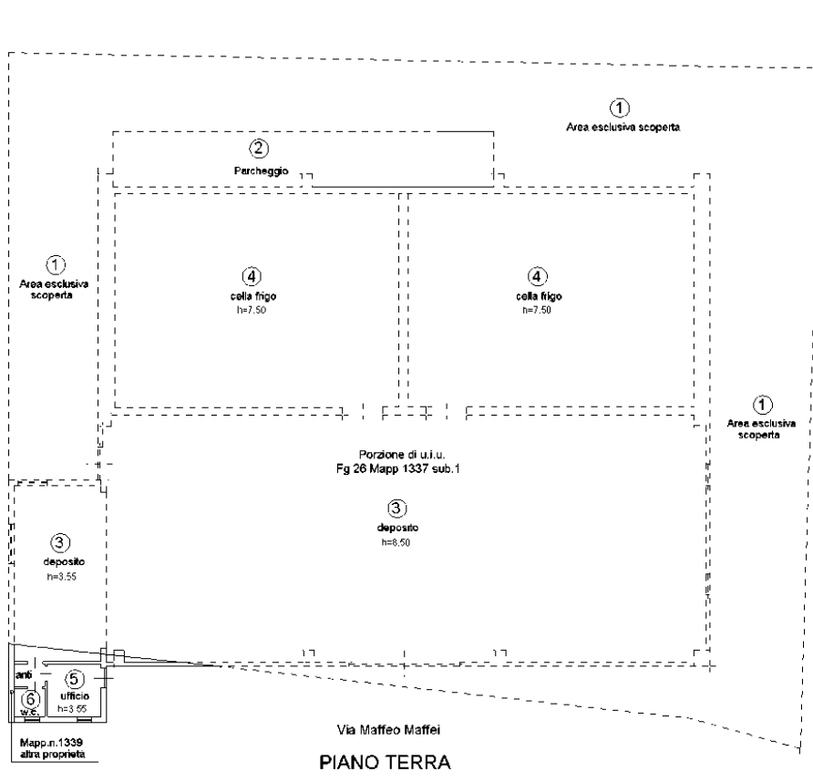 immagine annuncio 9 di 10