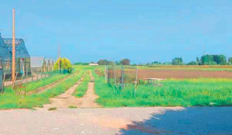 immagine annuncio 4 di 10