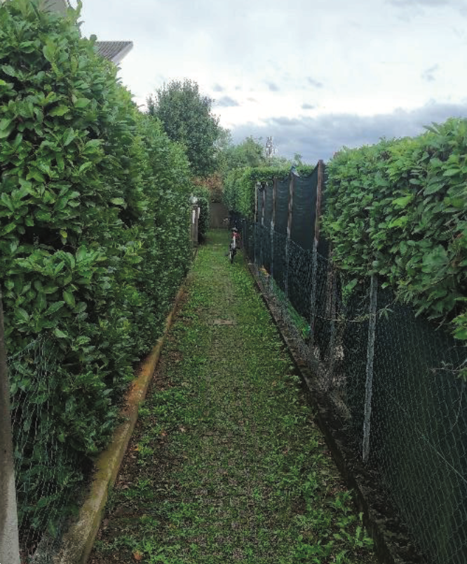 immagine annuncio 2 di 10