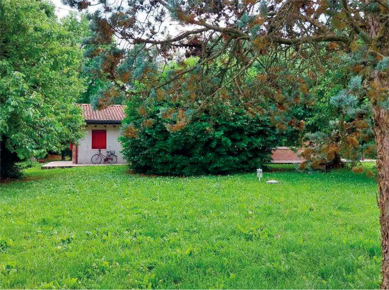 immagine annuncio 3 di 10