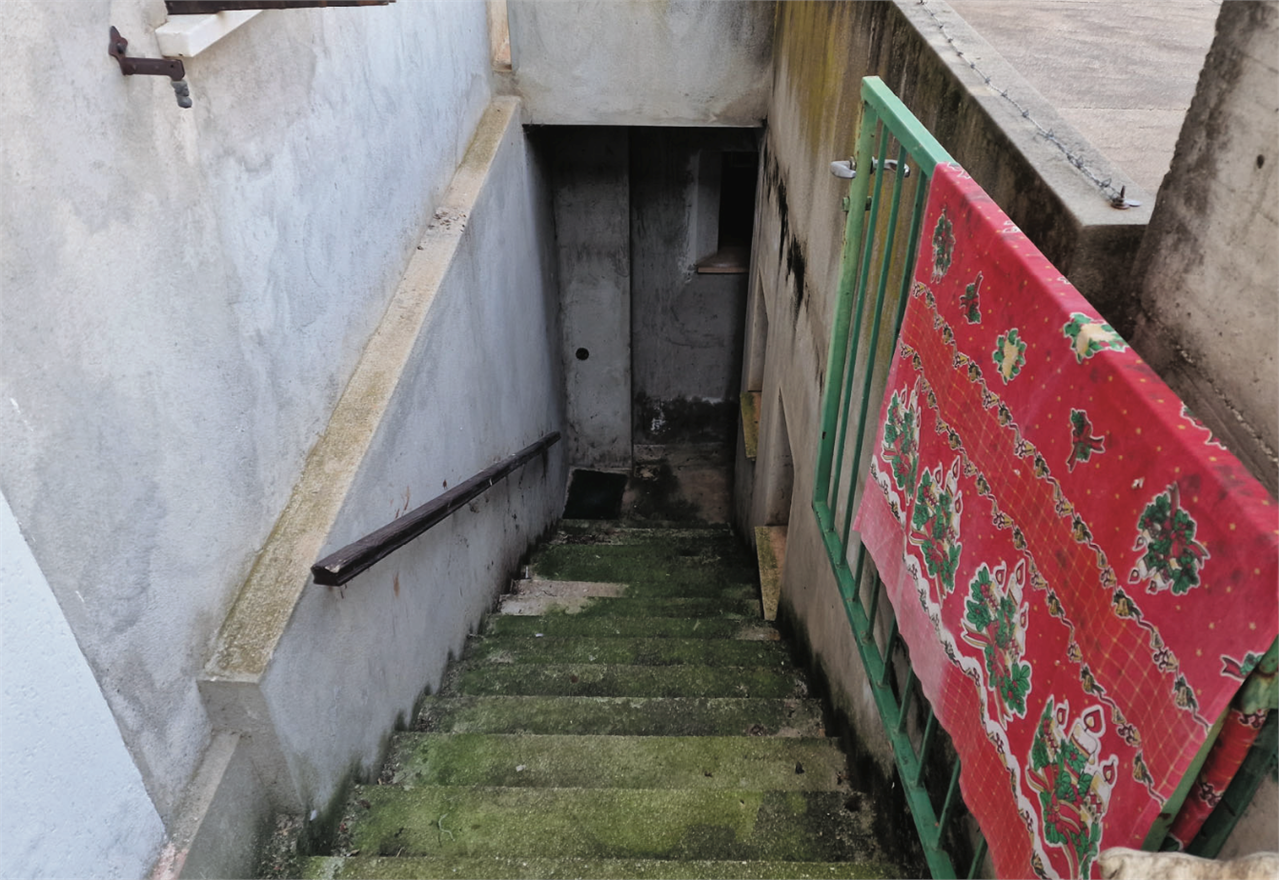 immagine annuncio 5 di 10