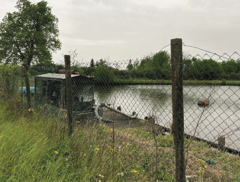 immagine annuncio 9 di 10