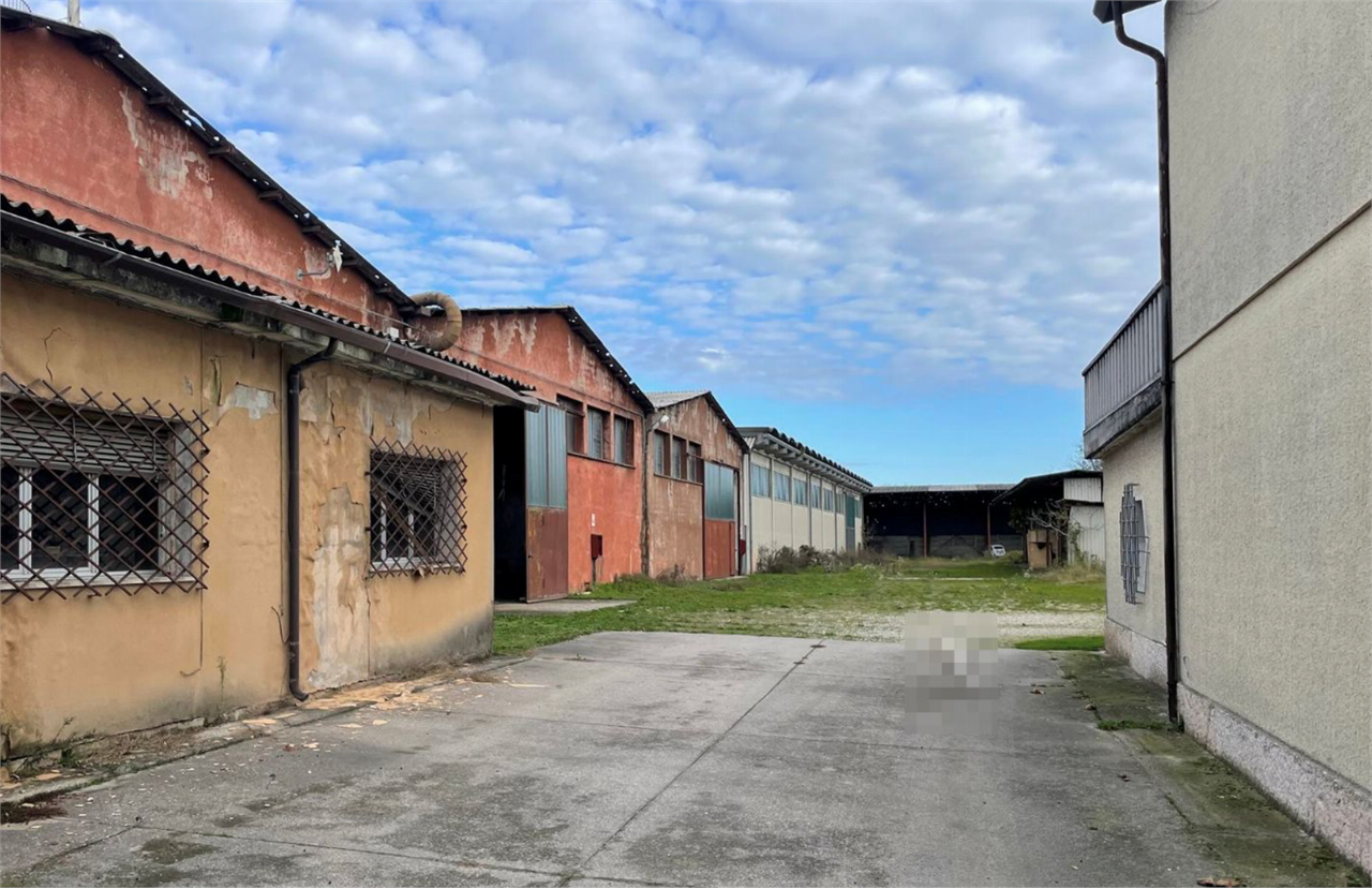 immagine annuncio 6 di 10