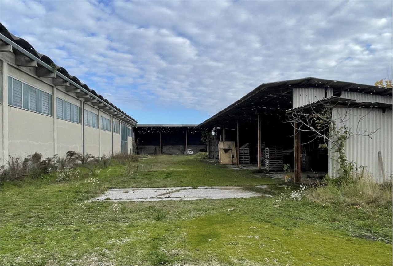 immagine annuncio 7 di 10