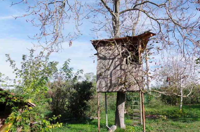 immagine annuncio 6 di 10