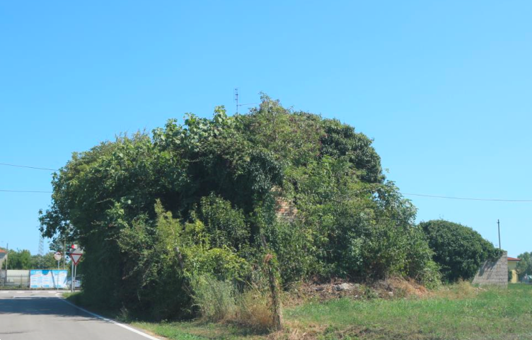 immagine annuncio 5 di 9