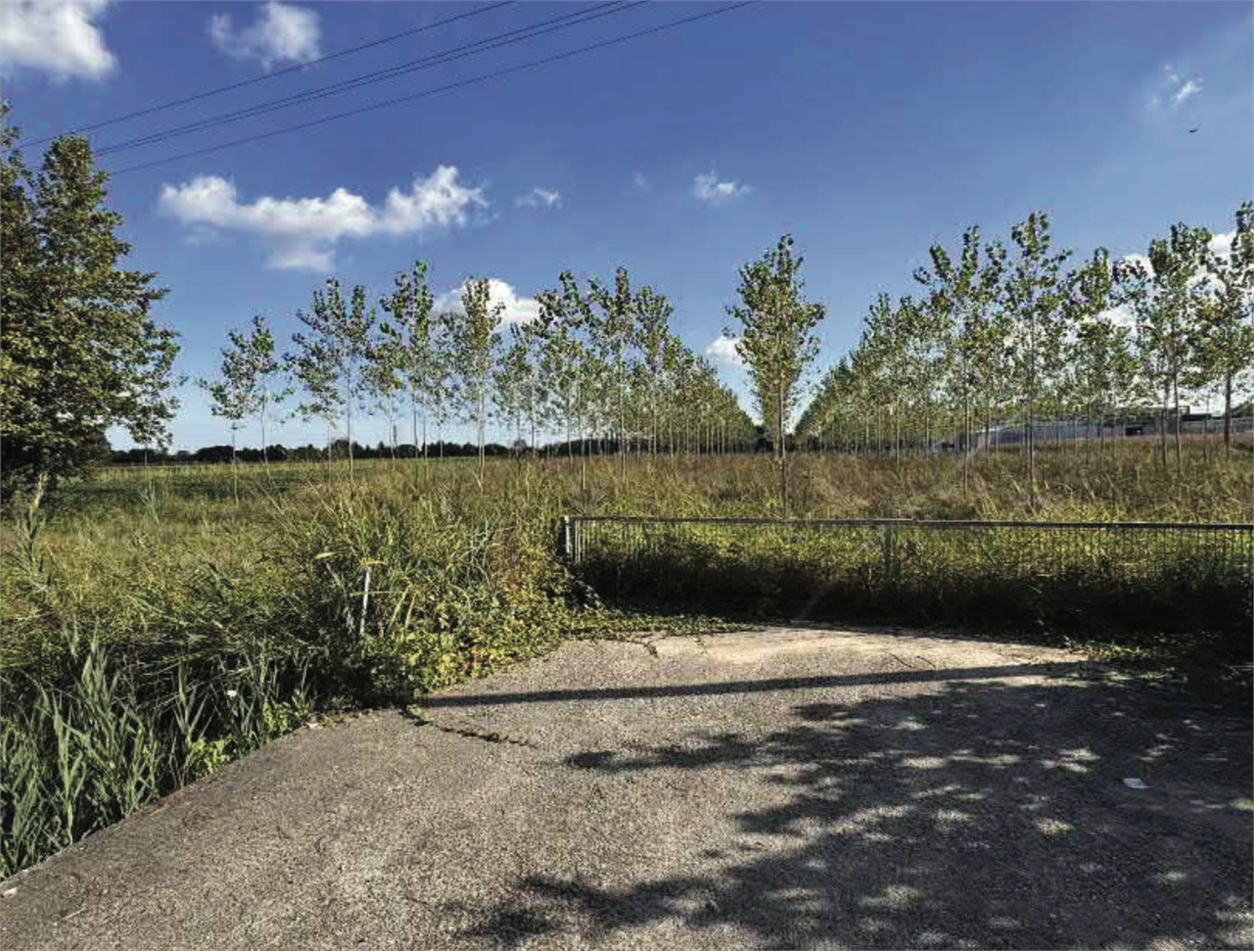 immagine annuncio 8 di 10