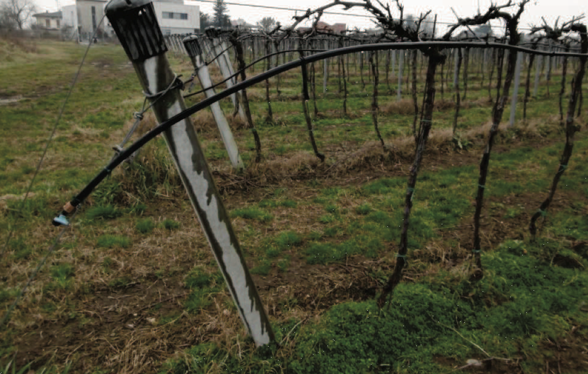 immagine annuncio 6 di 10