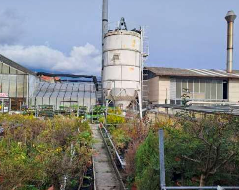 immagine annuncio 7 di 10