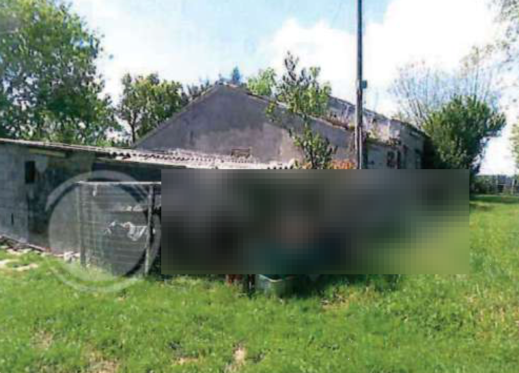 immagine annuncio 7 di 10