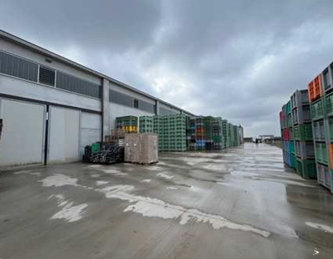 immagine annuncio 2 di 10