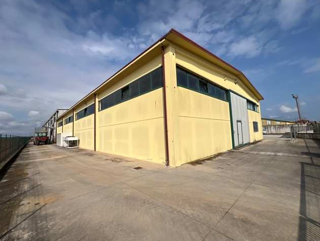 immagine annuncio 4 di 10