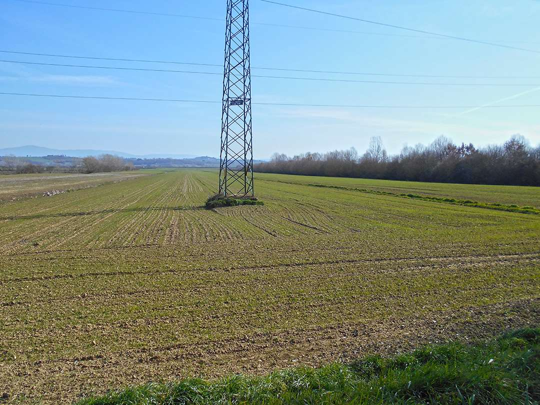 immagine annuncio 2 di 9