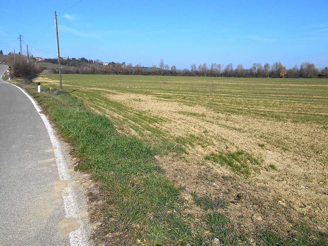 immagine annuncio 6 di 9