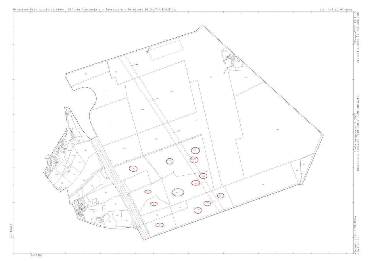 immagine annuncio 7 di 9