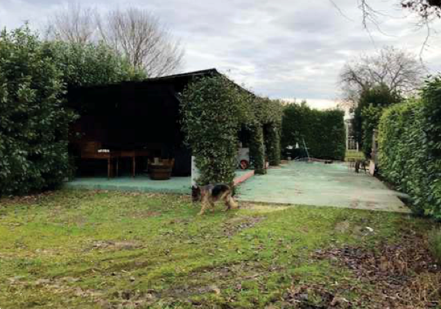 immagine annuncio 1 di 10