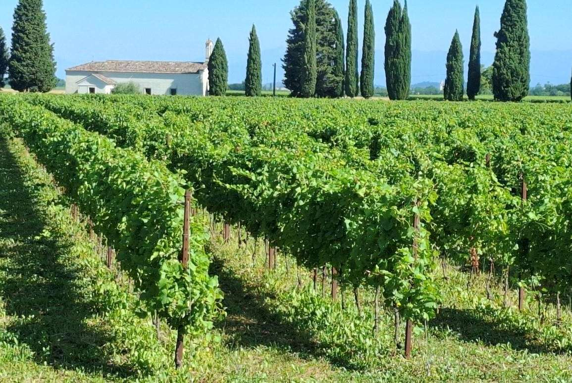 immagine annuncio 2 di 7