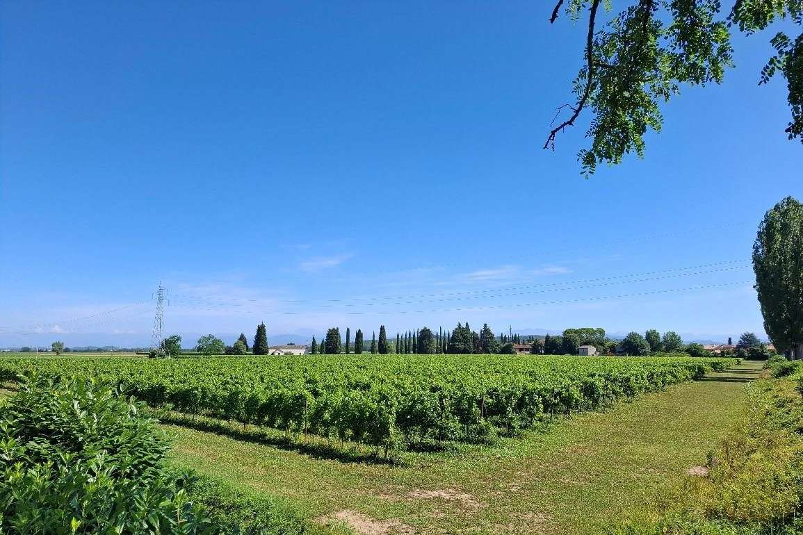 immagine annuncio 1 di 7