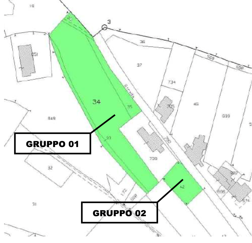 immagine annuncio 4 di 10