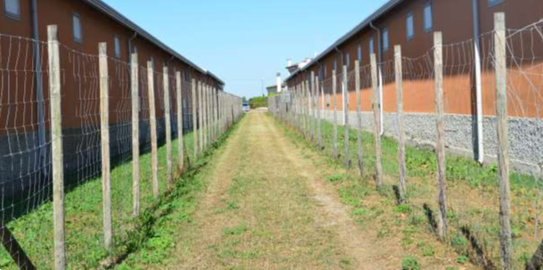 immagine annuncio 4 di 10