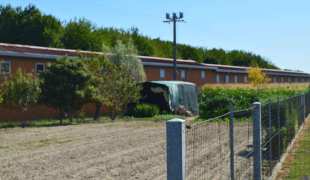 immagine annuncio 6 di 10