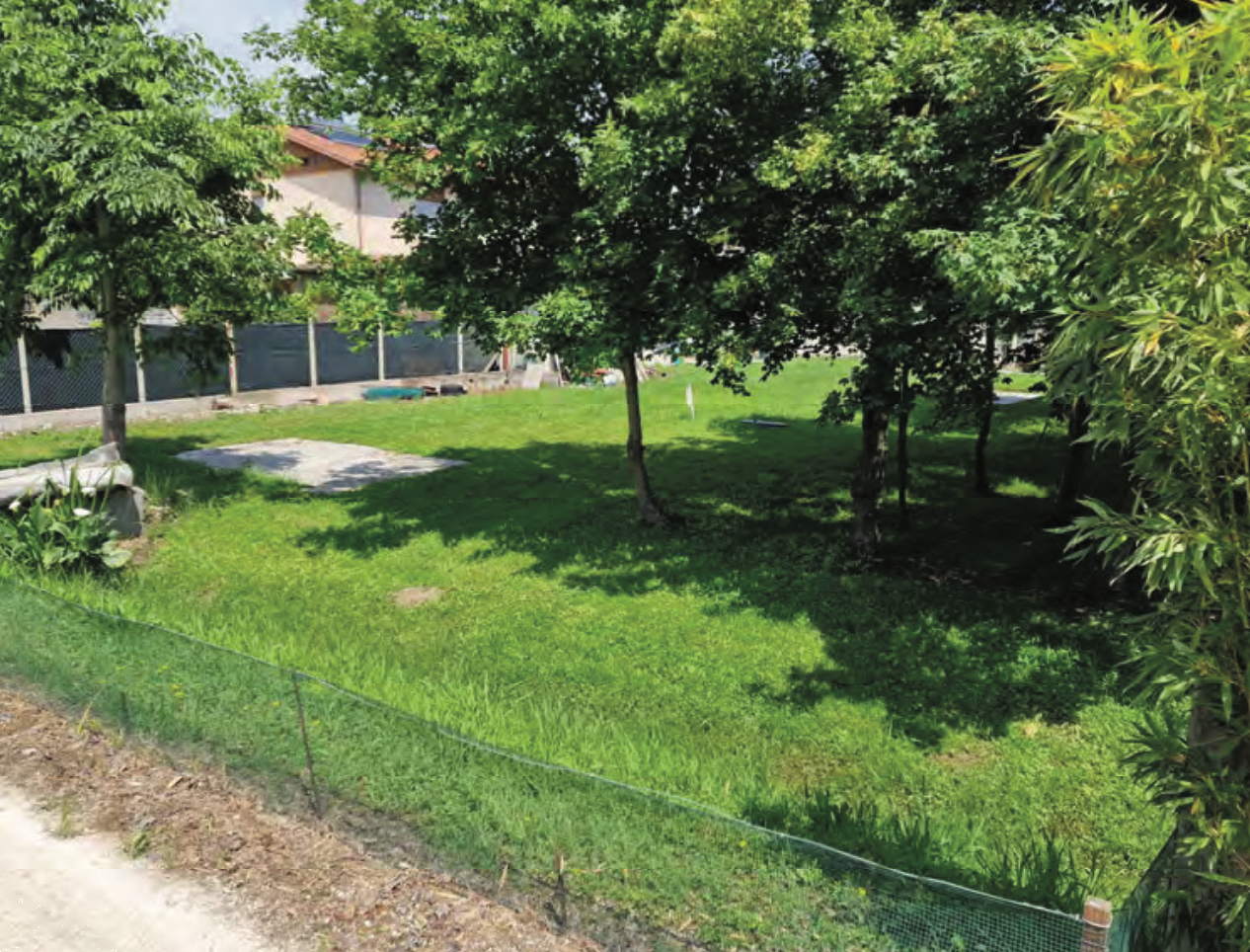 immagine annuncio 6 di 10