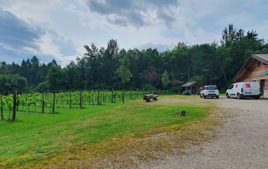 immagine annuncio 3 di 10