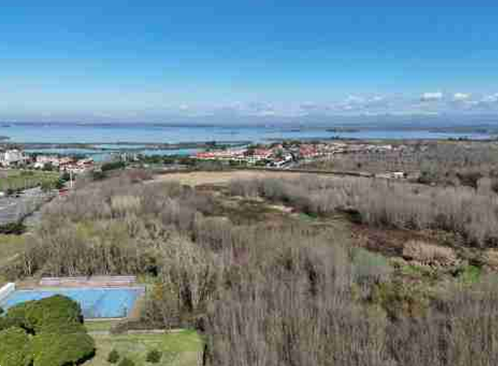 immagine annuncio 3 di 8