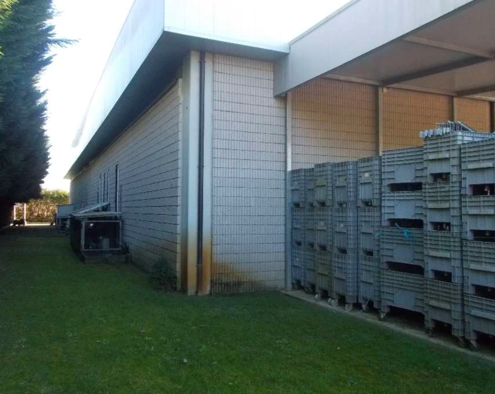 immagine annuncio 4 di 10