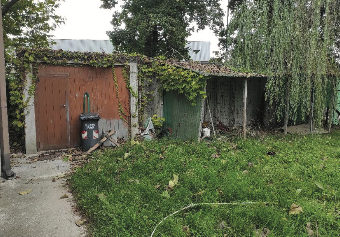 immagine annuncio 9 di 10