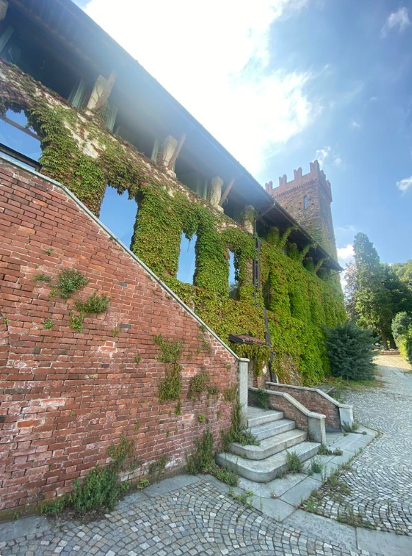 immagine annuncio 1 di 10