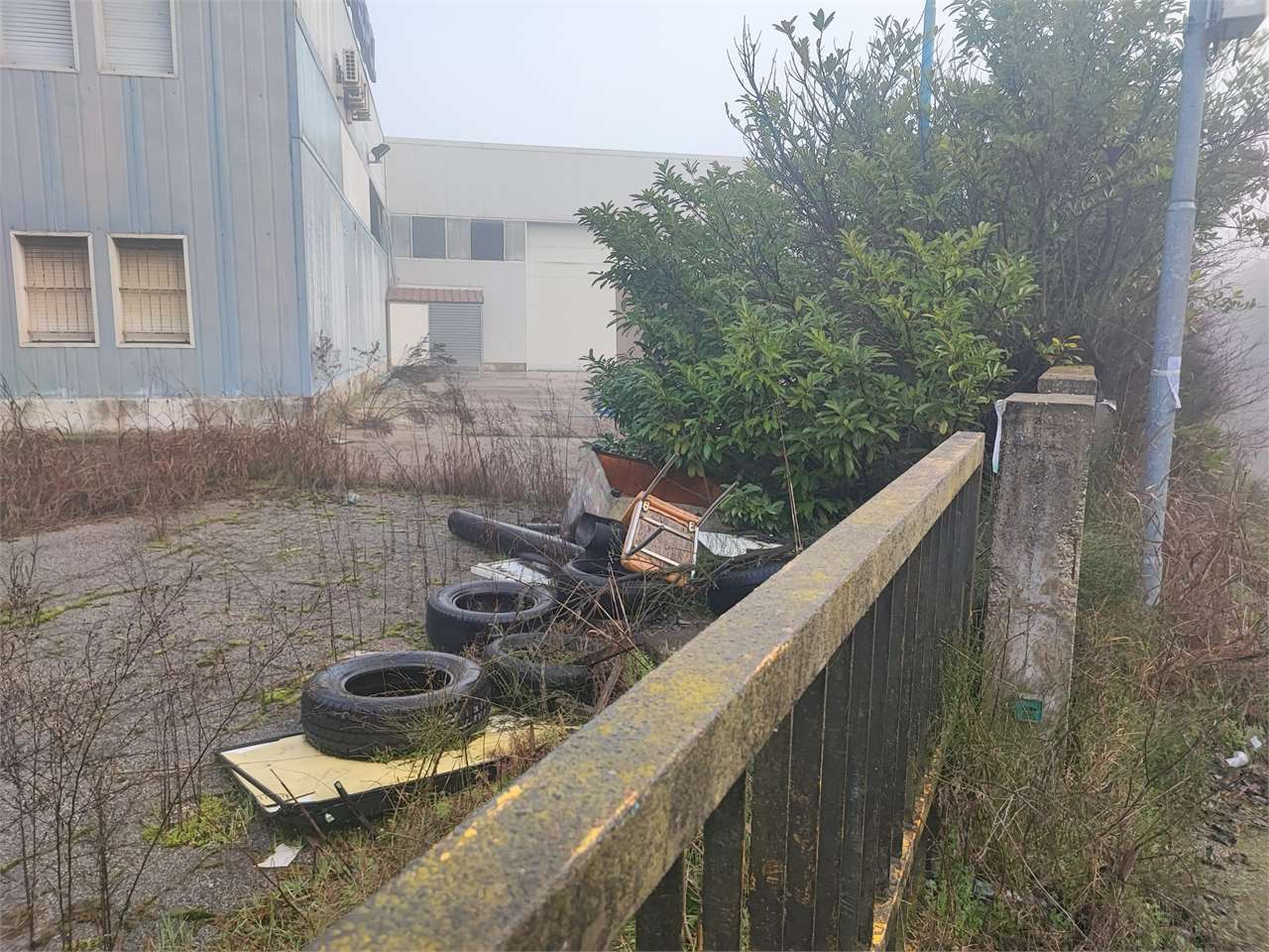 immagine annuncio 4 di 10