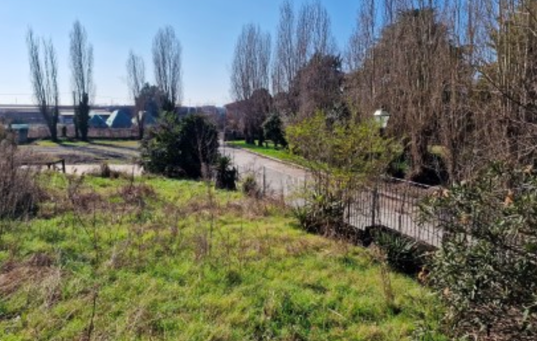 immagine annuncio 2 di 10