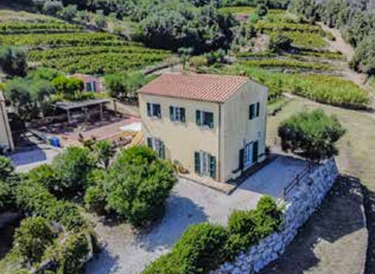 immagine annuncio 2 di 10