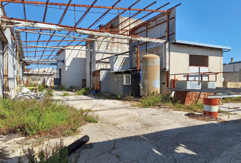 immagine annuncio 3 di 10