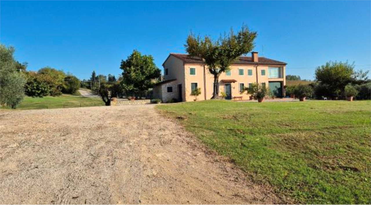 immagine annuncio 0 di 10