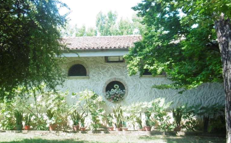 immagine annuncio 6 di 10